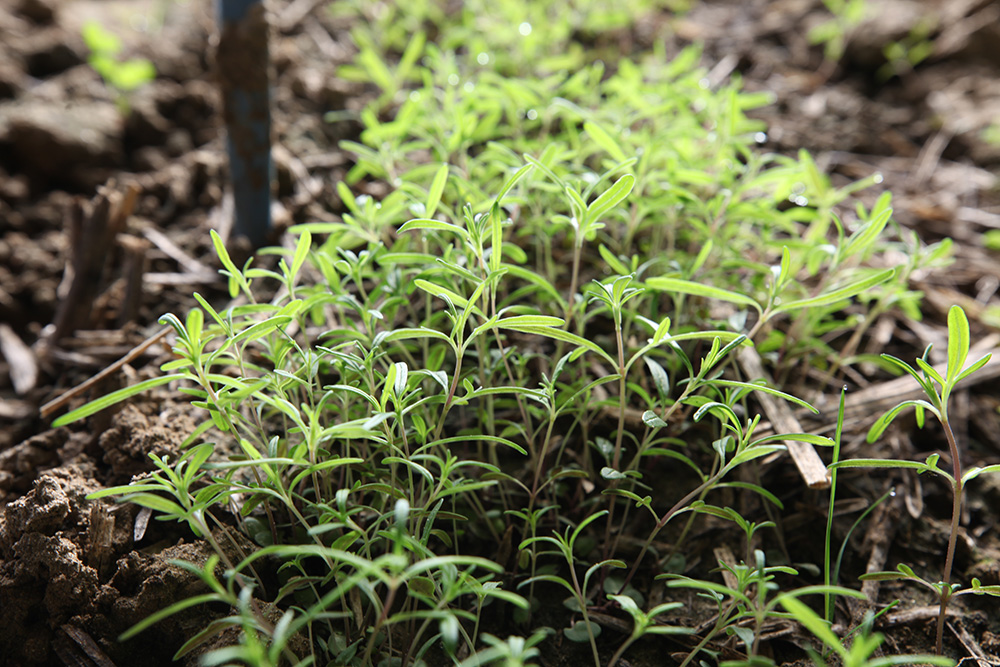 1548033735358394.jpg IMG_8855.jpg