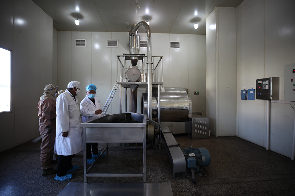 1548036201505189.jpg IMG_8462.jpg